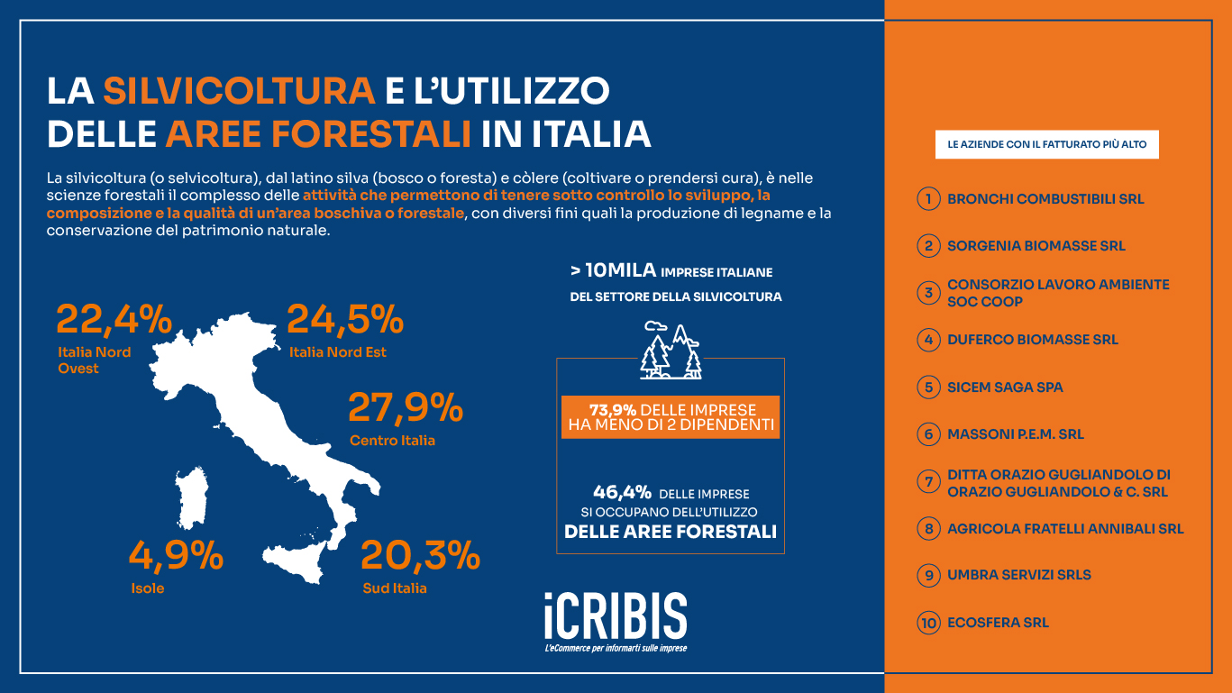 https://admin.icribis.com/images/12_silvicoltura_italia_infografica.jpg