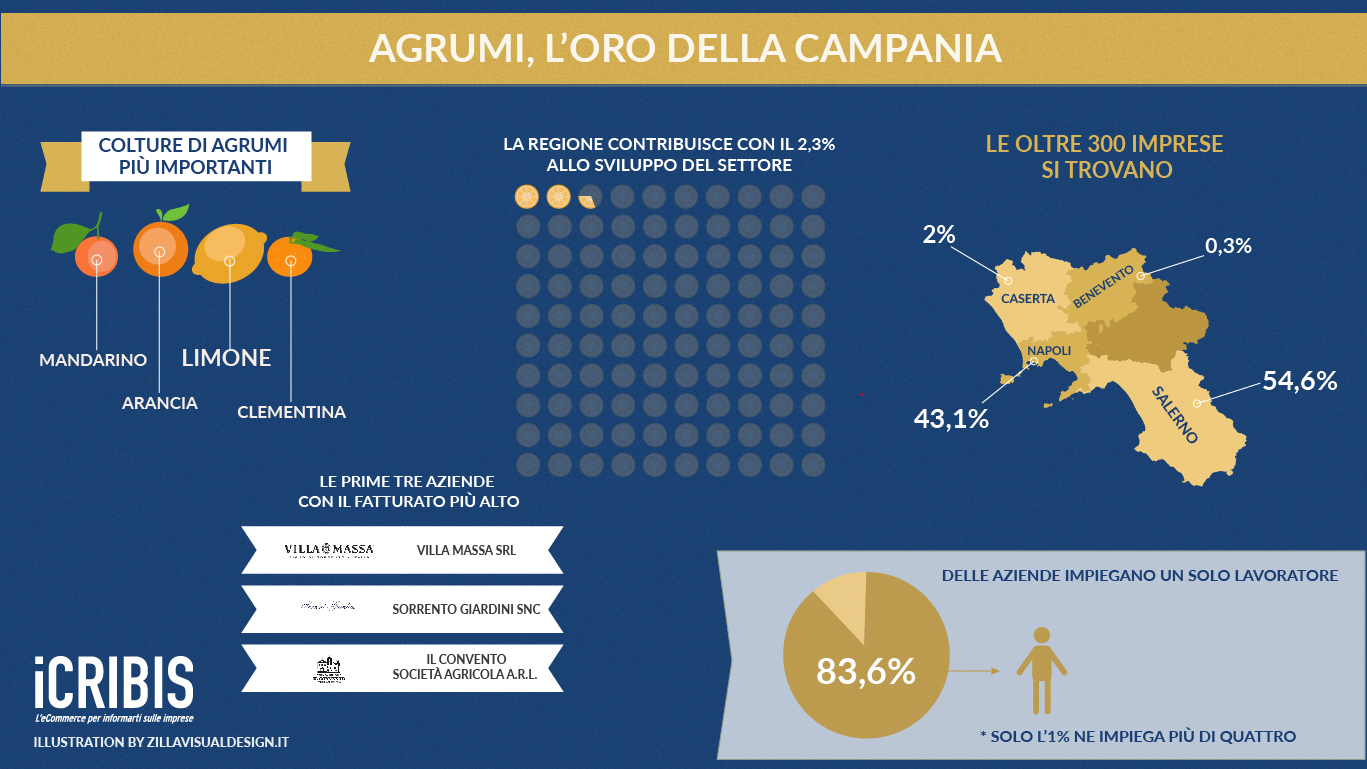 infografica agrumi